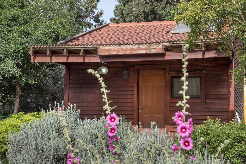 Zohar Badeshe Daliyya Exterior foto