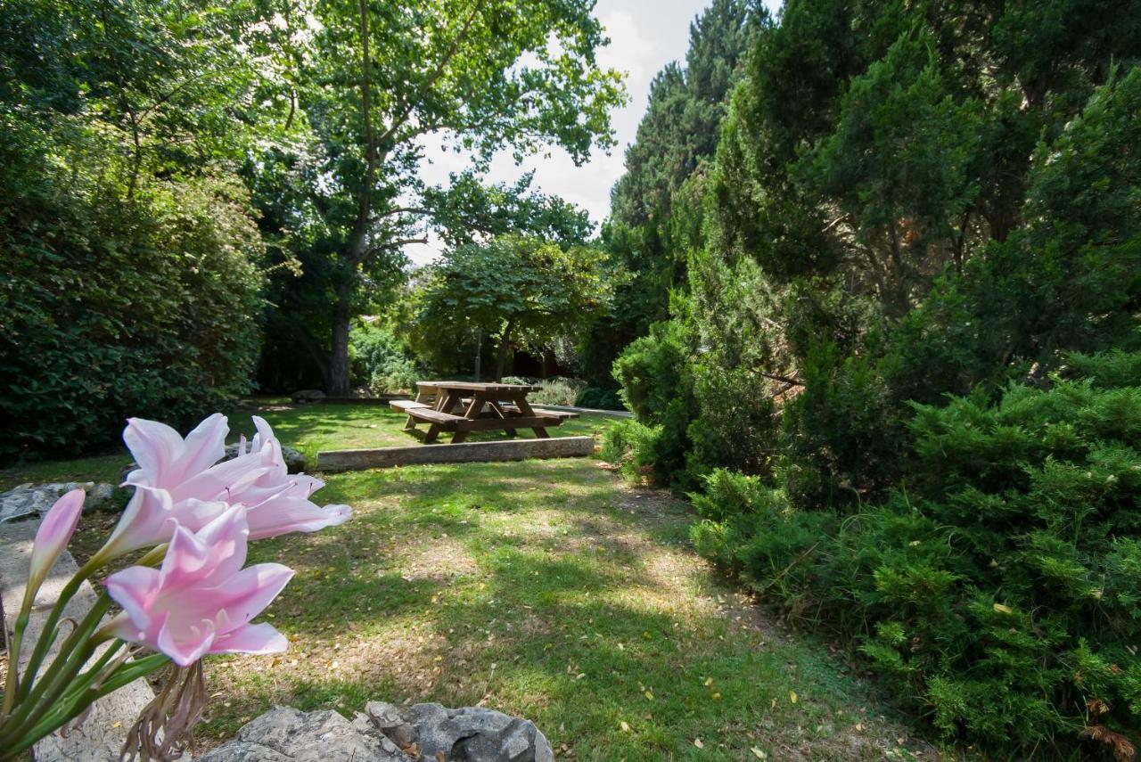 Zohar Badeshe Daliyya Exterior foto